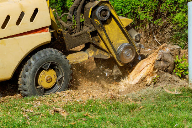 Residential Tree Removal in Yates Center, KS